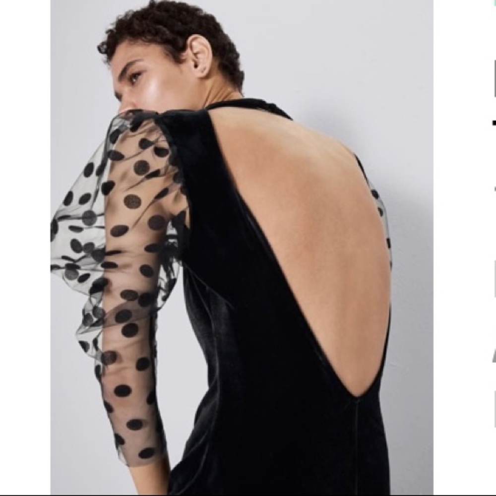 NEW! HP 🥳🥳🥳Zara Velvet Look Long Sleeve Dress with Polka Dot Detail - Picture 2 of 11